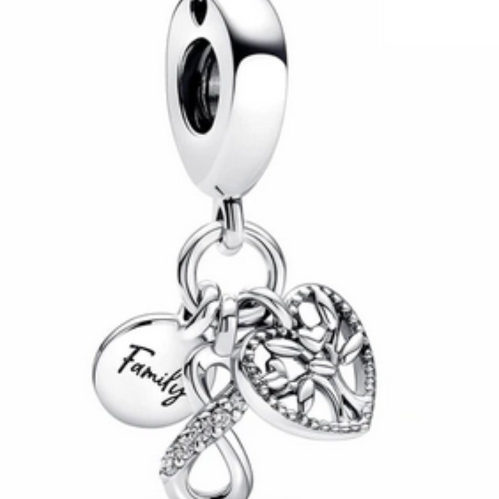 NWT Family Bracelet Charm